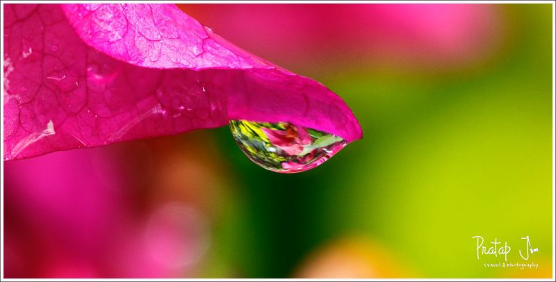 Waterdrop Macro Photography