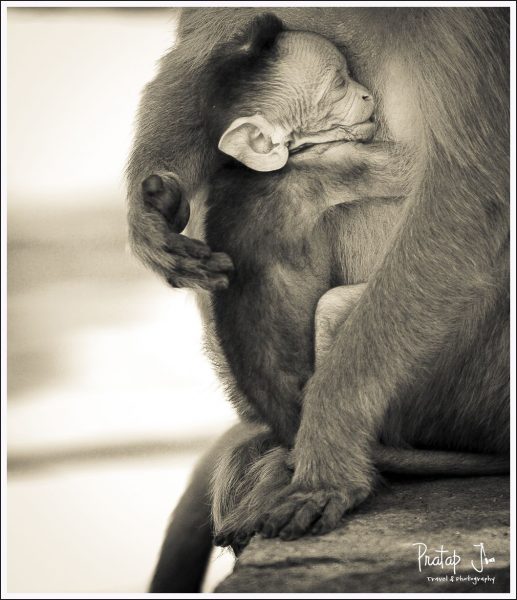 Mother and Child at Nandi