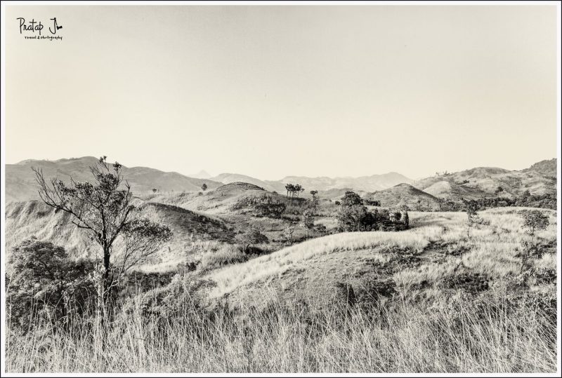 Monchrome of the Grasslands of the Western Ghats