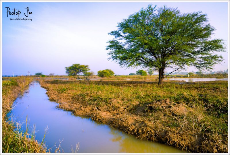 Hoskote Lake