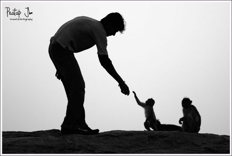 Monochrome image of Man feeding a monkey