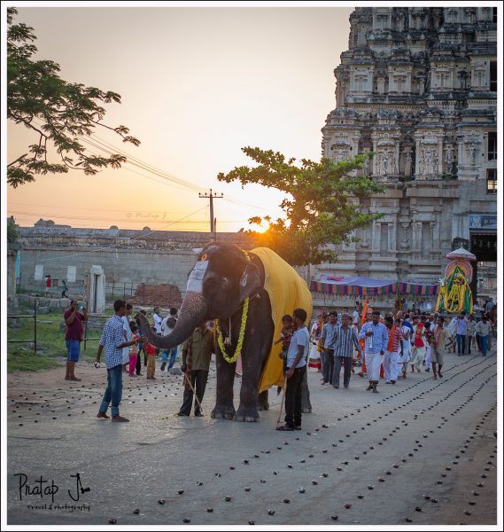 Temple Elephant in front of Virupaksha