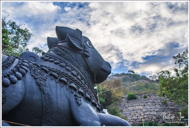 Nandi at Chamundi Hills