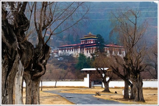 Paro Dzong Entrance