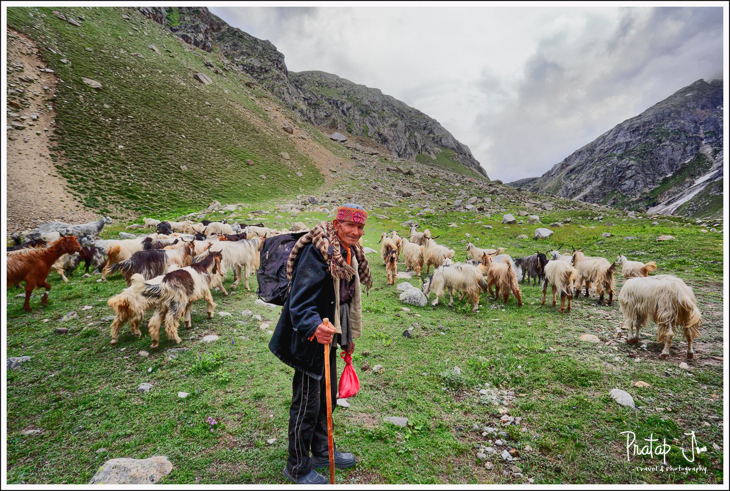 A Shepherd Readies for Travel in Spiti Valley