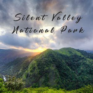 Silent Valley National Park (Kerala)
